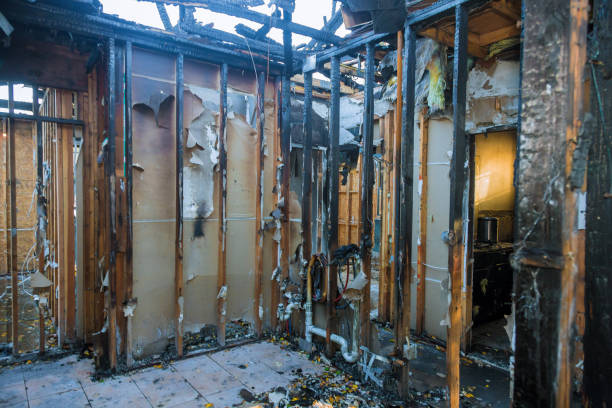 Professional Fire Damage Removal technician working in Severance, CO